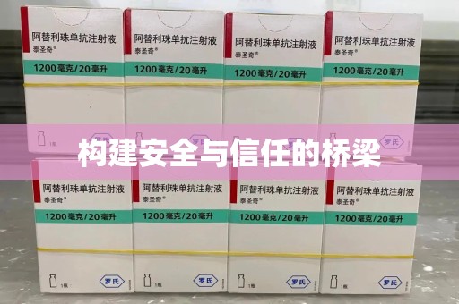 盐城构建安全与信任的桥梁