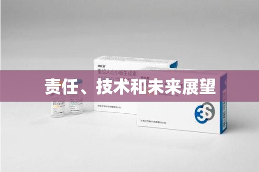 盐城责任、技术和未来展望