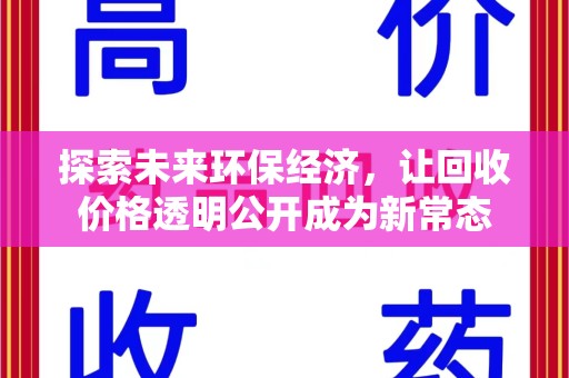 盐城探索未来环保经济，让回收价格透明公开成为新常态