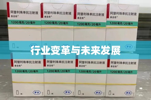 盐城行业变革与未来发展