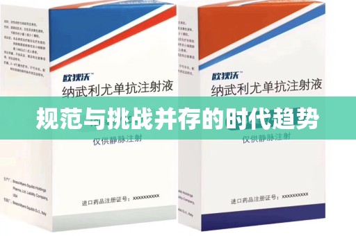 盐城规范与挑战并存的时代趋势