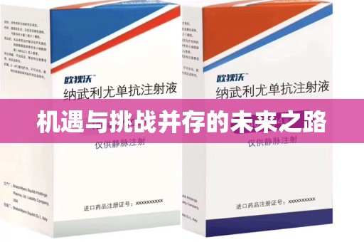 盐城机遇与挑战并存的未来之路