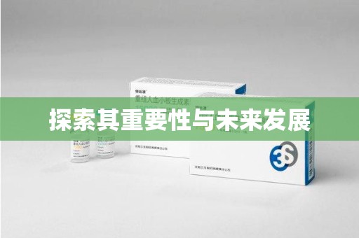 盐城探索其重要性与未来发展