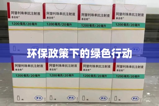 盐城环保政策下的绿色行动