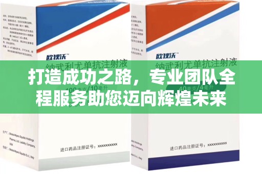 盐城打造成功之路，专业团队全程服务助您迈向辉煌未来