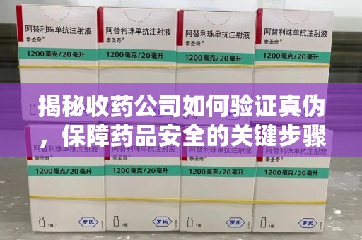 盐城揭秘收药公司如何验证真伪，保障药品安全的关键步骤