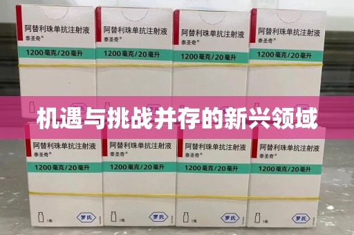 盐城机遇与挑战并存的新兴领域