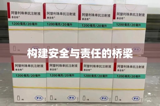 盐城构建安全与责任的桥梁