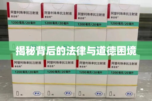 盐城揭秘背后的法律与道德困境