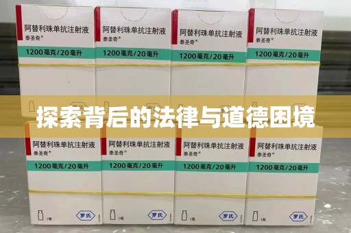 盐城探索背后的法律与道德困境